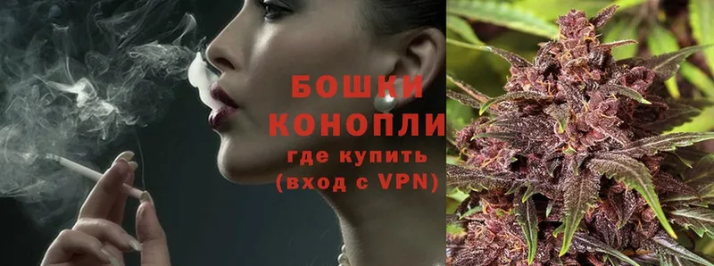 Бошки марихуана Ganja  где найти   Бобров 